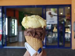 -Dooley's Premium Ice Cream