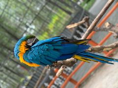 -北京野生动物园