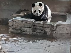 -宁波野生动物园