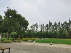 -前小桔亲子创意农场·草莓采摘·露营烧烤