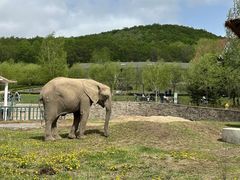 -哈尔滨北方森林动物园