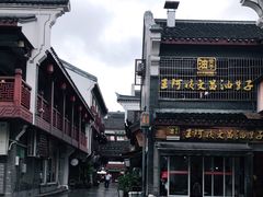 -王阿姨文昌油赞子(府桥街店)