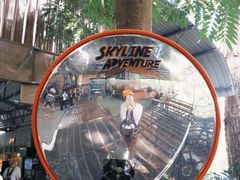 -清迈丛林飞跃 JungleFlight