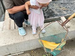 -可心烤鱼