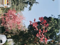 -昆明动物园
