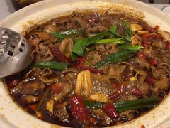 -火胖子肥肠煲·始于1998(南山村店)