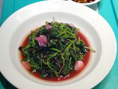 -松云泽