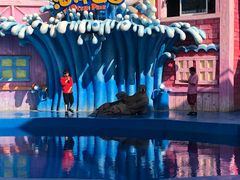 -华夏文旅海洋公园