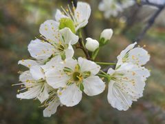 -武汉马哥孛罗酒店