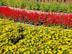 -吴淞炮台湾湿地森林公园烧烤区