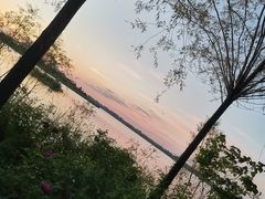 -呼兰河口湿地公园
