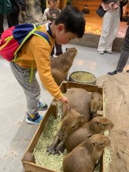 -Zoolung Zoolung动物主题公园(海信广场店)