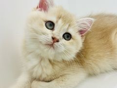 -福田卓悦INTOWN购物中心
