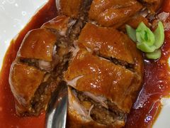 -丁老爷子苏香圆