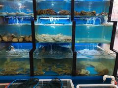 水产区-老东镇啤酒屋海鲜加工·蒸汽海鲜·海鲜烧烤(台东店)