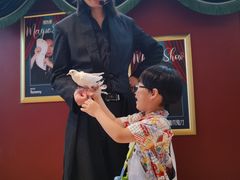 -沉浸式亲子魔术秀-魔大星爆笑小剧场