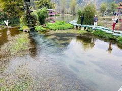 -靖西鹅泉风景区