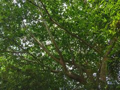 -春晖园度假酒店温泉