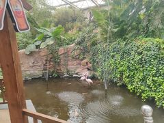 -忆江南·生态餐饮宴会酒店