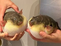 -永安鱼庄·镇江菜(东吴路店)