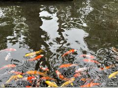 -广州都喜泰丽温泉度假酒店