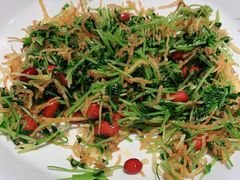 巧拌豆苗-四季民福烤鸭店(前门店)