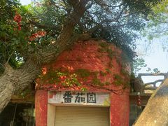 -丹樱生态园