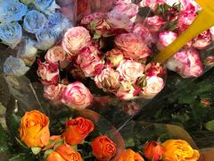 -循礼门鲜花花市(武汉循礼门店)