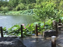 -上海怡沁园度假酒店