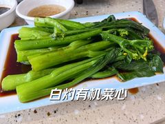 -顺德家厨(白云店)