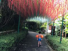 -嘉和K6温泉微度假