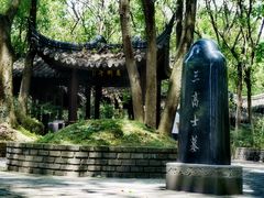 -上海佘山国家森林公园天马山园