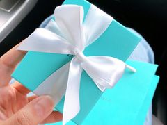 -Tiffany & Co.蒂芙尼
(天津万象城店)