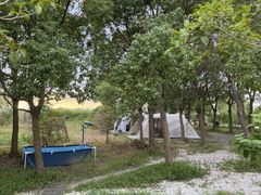 -暮谷MUGO ·团建聚会·露营烧烤·生日派对·共享菜地
