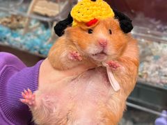 -广记餐厅(万福路店)