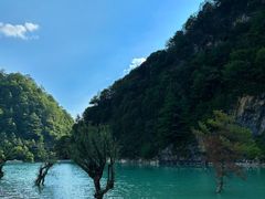 -狮子沟牧场
