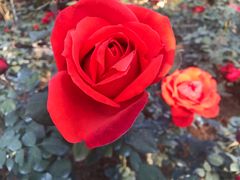 -人民公园(罗湖区)