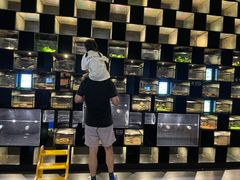 -太平洋海底世界