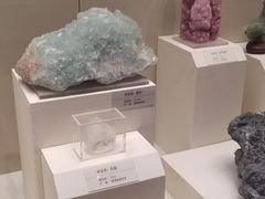-天津自然博物馆