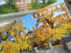 -北京石刻艺术博物馆(五塔寺)