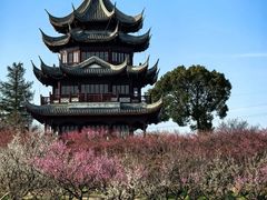 -上海海湾国家森林公园