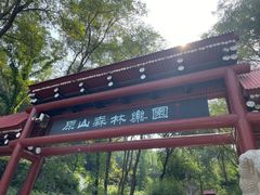 -原山国家森林公园