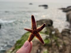 -燕儿岛山公园