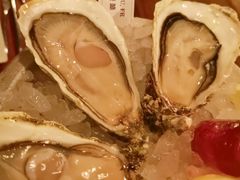 吉拉多-斯普汇生蚝牛排馆(中骏世界城店)