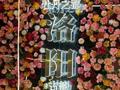 -洛阳麦盛斋糕点店(中州路店)