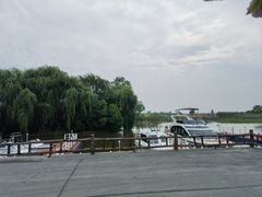 -泗洪洪泽湖湿地景区