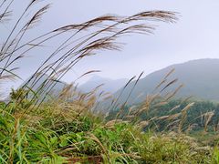 -东白山