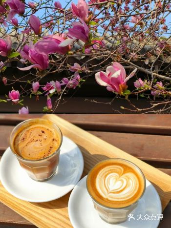 我的春日crush|开满红玉兰的院子美绝了