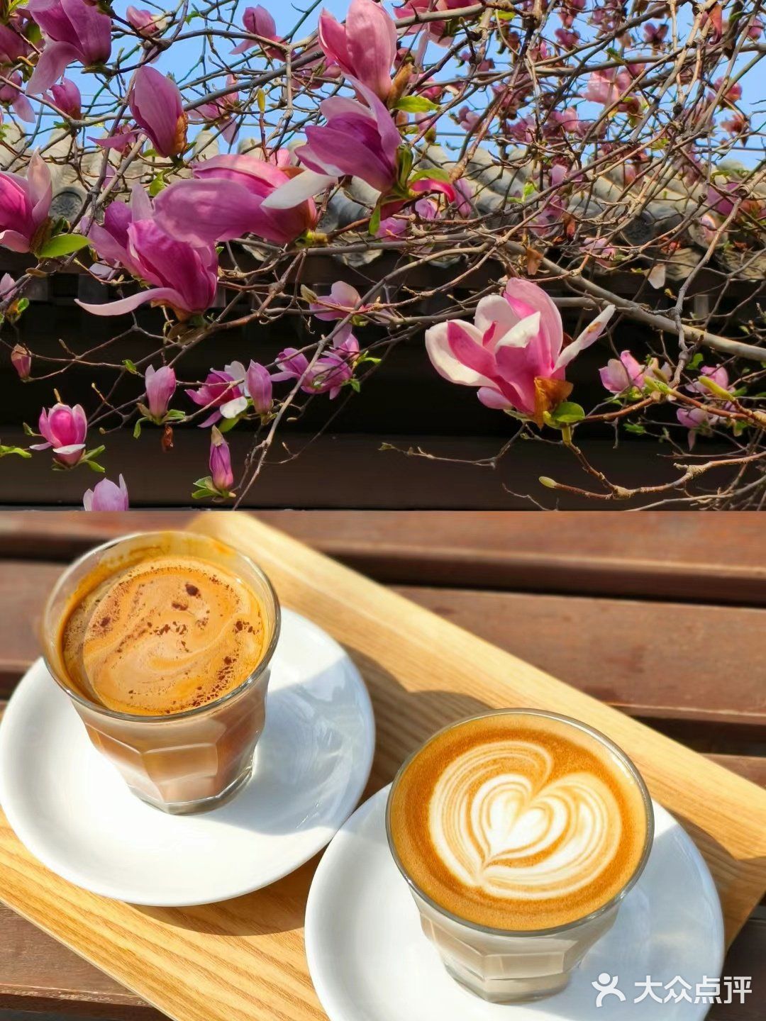 我的春日crush|开满红玉兰的院子美绝了❗