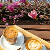 我的春日crush|开满红玉兰的院子美绝了❗